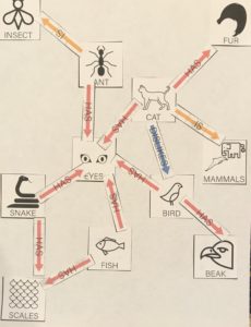 Example Semantic Network