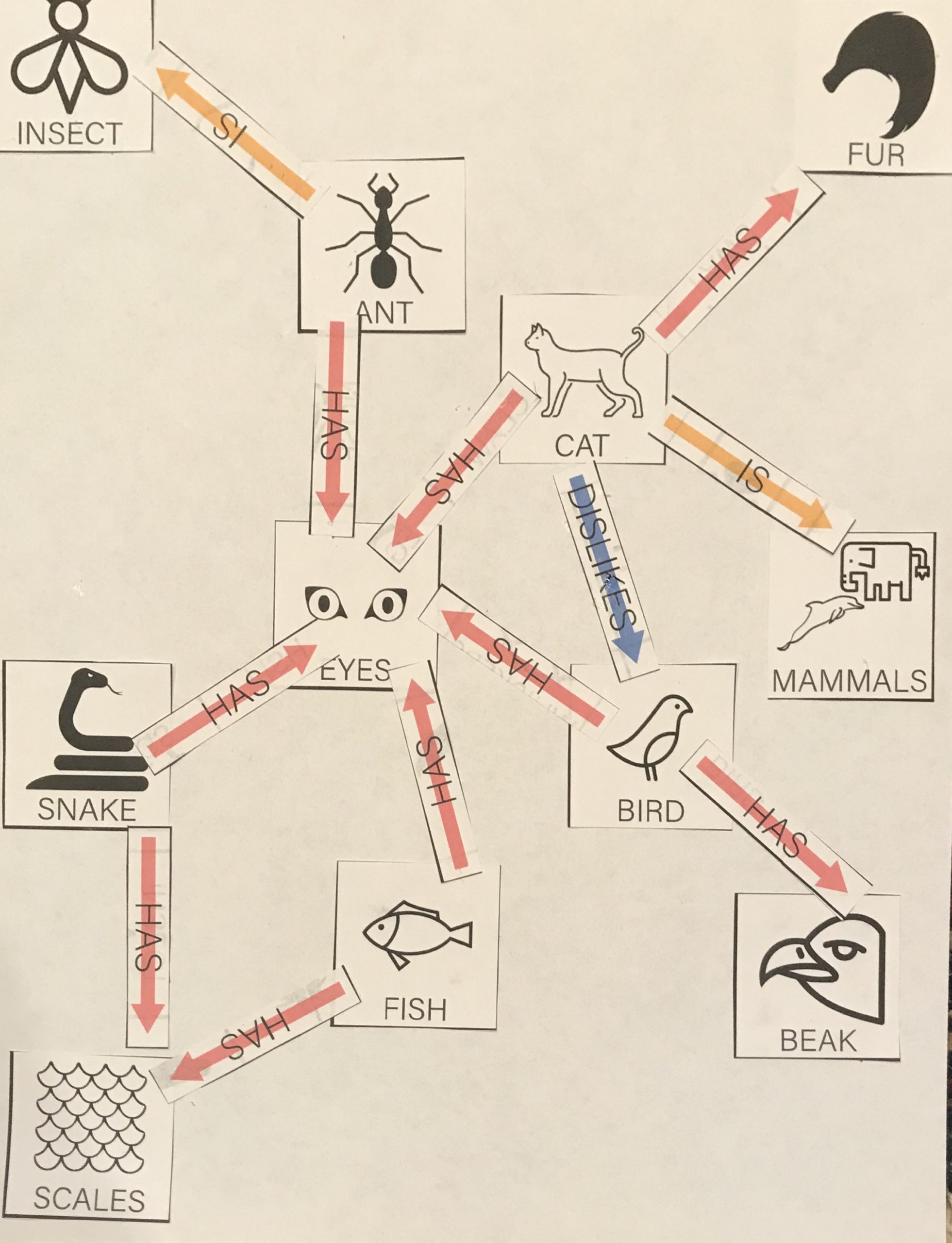 semantic network model of memory